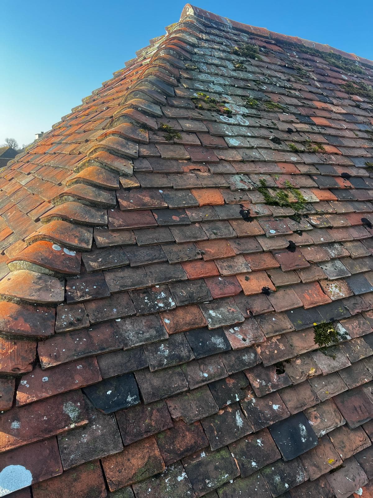An old clay plain tile roof with bonnet hip tiles, weathered in mixed shades of red and brown
