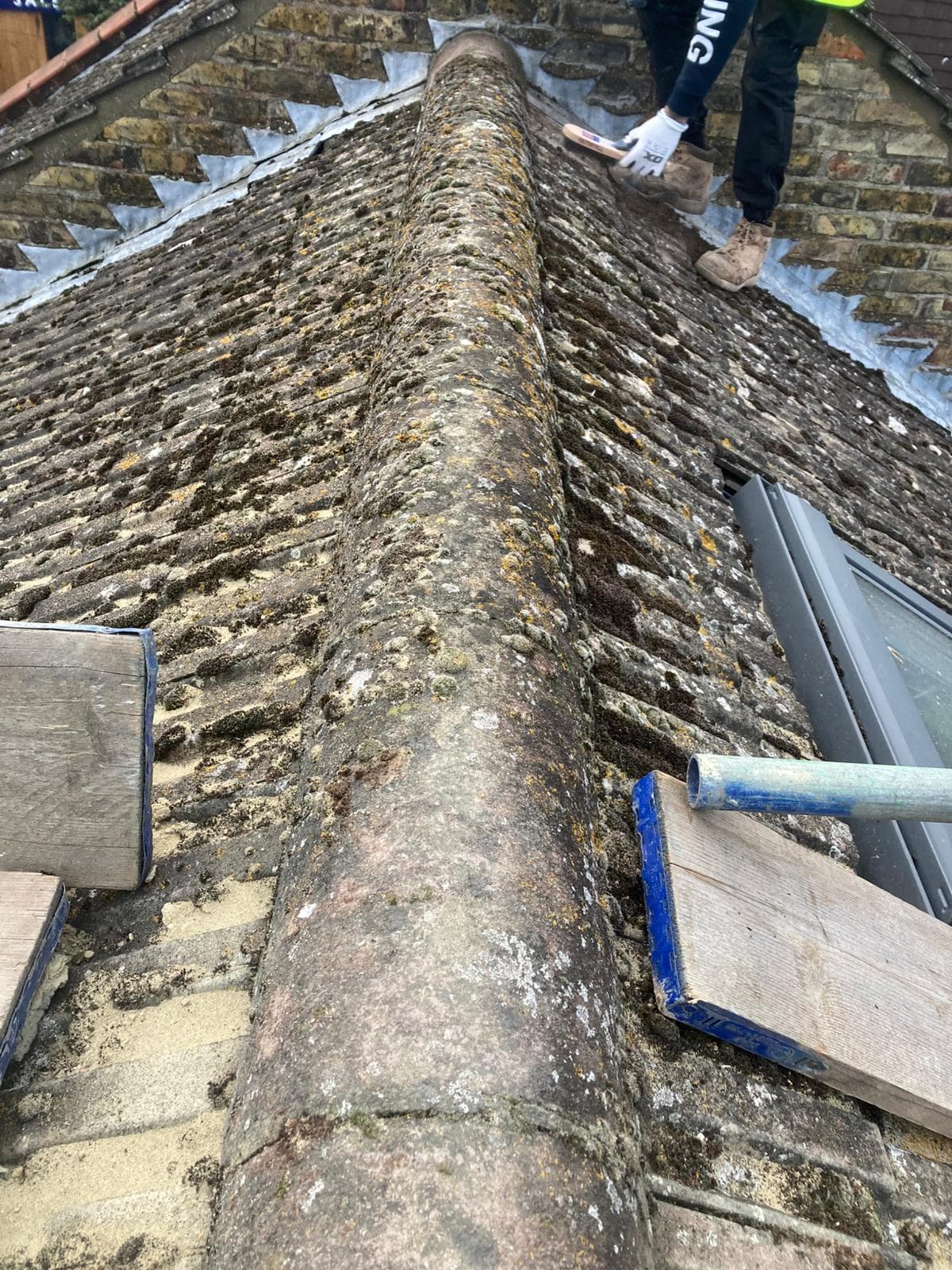 Moss Damage a Roof