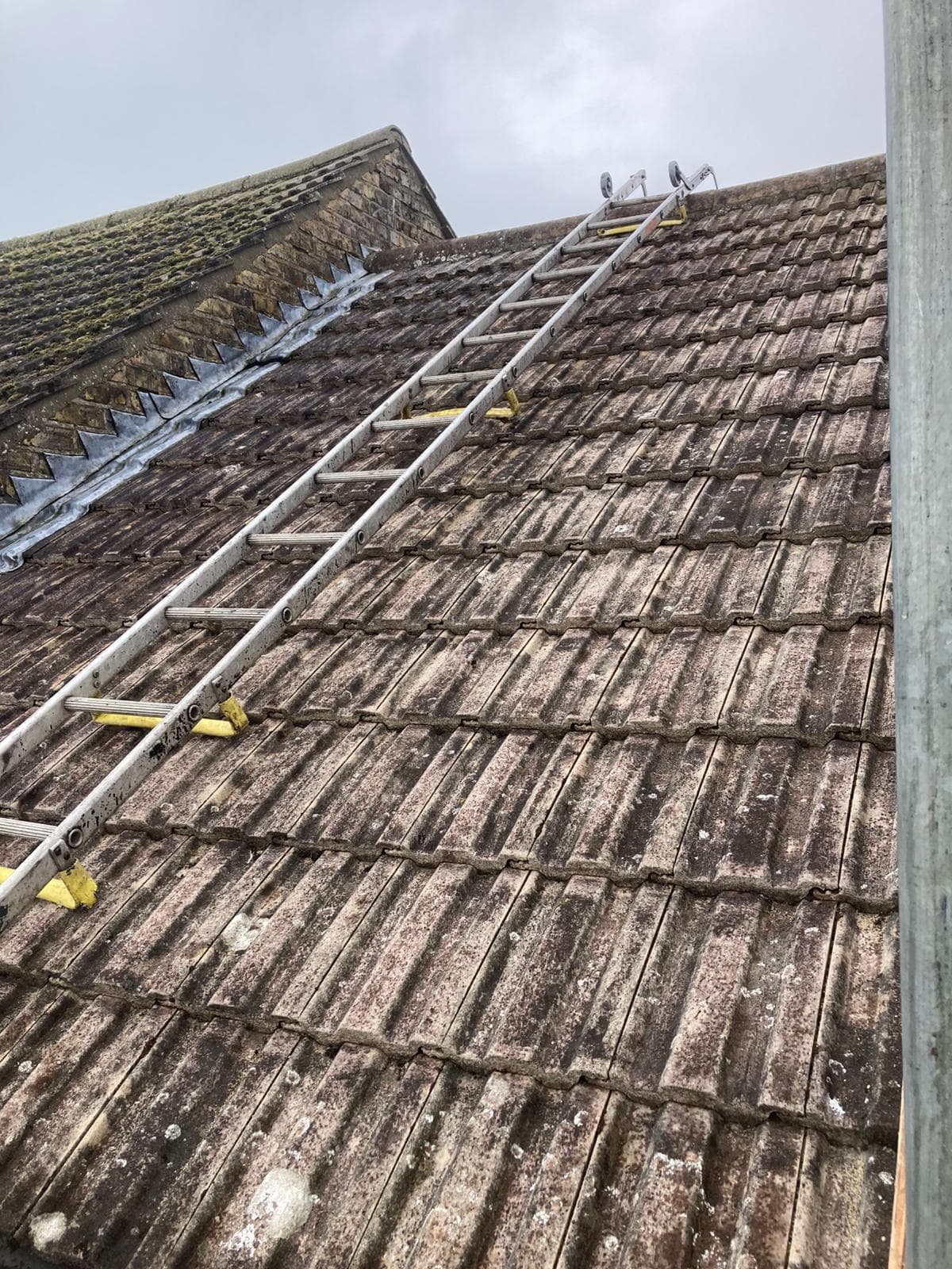 Roof Repairs in Hythe Area